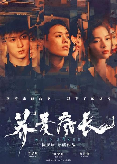 西武芸術科学大学学位证